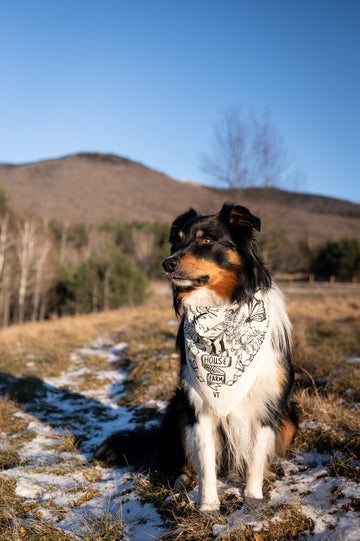 Ice House Farm Bandana