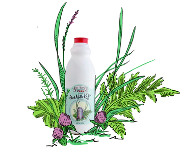 goat milk kefir